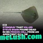 God damn he Epstein itself