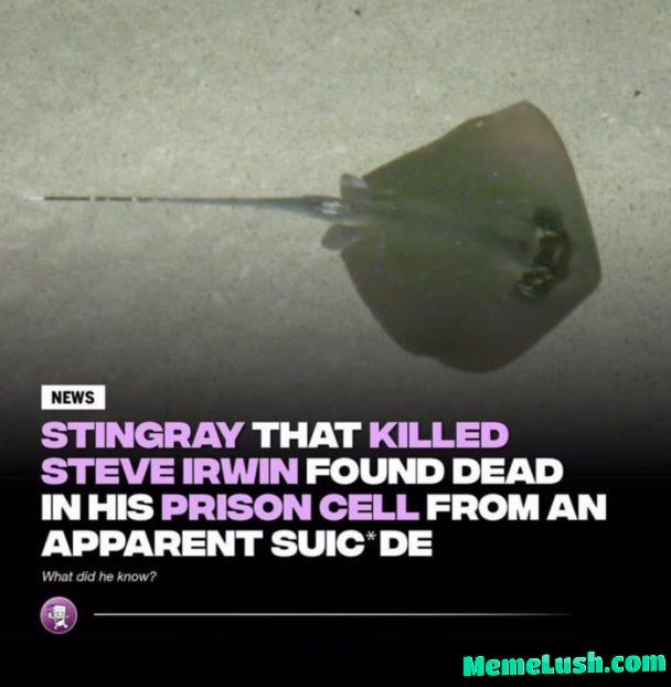 God damn he Epstein itself God damn he Epstein itself