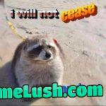 DogPack 404’s response to Mrbeast’s legal team’s cease and desist order