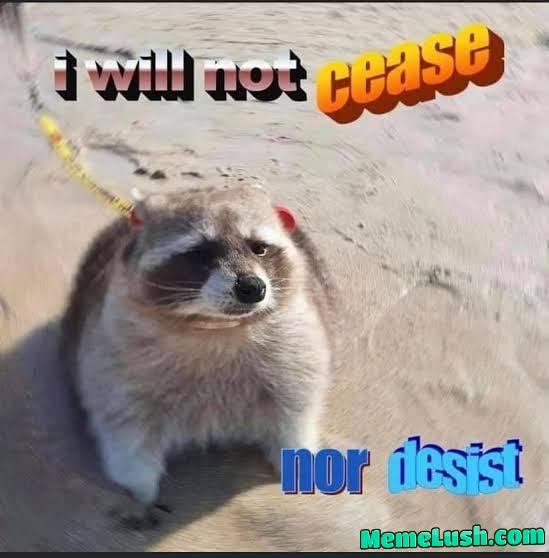 DogPack 404’s response to Mrbeast’s legal team’s cease and desist order DogPack 404’s response to Mrbeast’s legal team’s cease and desist order