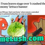 Boo hoo, somebody has hurt her feelings