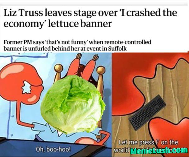 Boo hoo, somebody has hurt her feelings Boo hoo, somebody has hurt her feelings