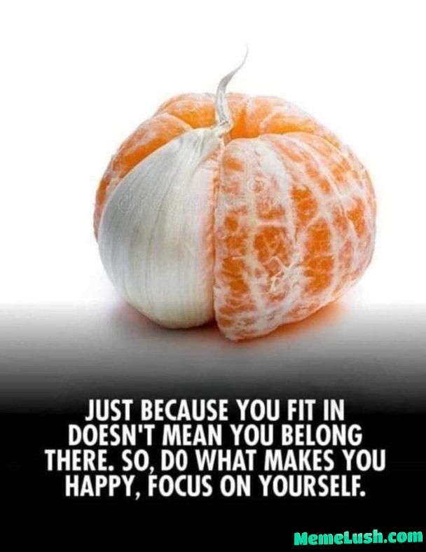 A message from I.sis. A message from I.sis.