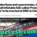 What does Democrats want of their voters ? Dont reproduce. LOL
