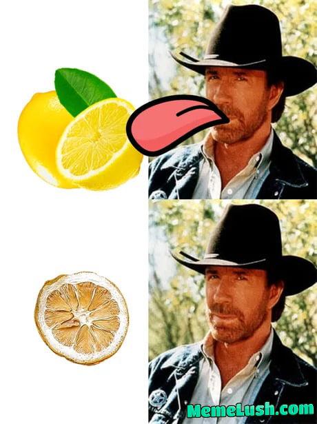 A cobra bit Chuck Norris, 3 days later the cobra died. A cobra bit Chuck Norris, 3 days later the cobra died.