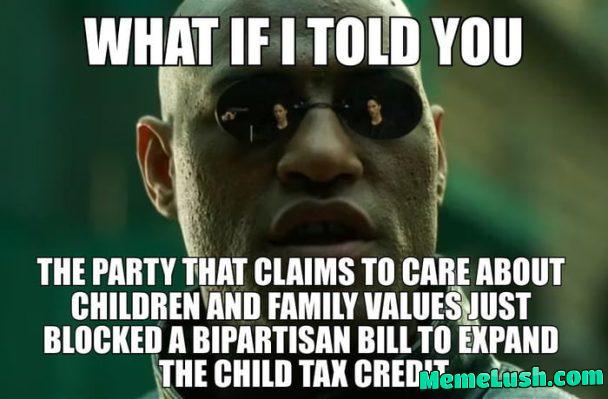 Meanwhile the party of childless cat ladies voted for it, of course