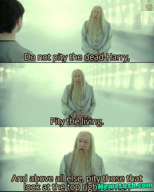 The rolls we never forget