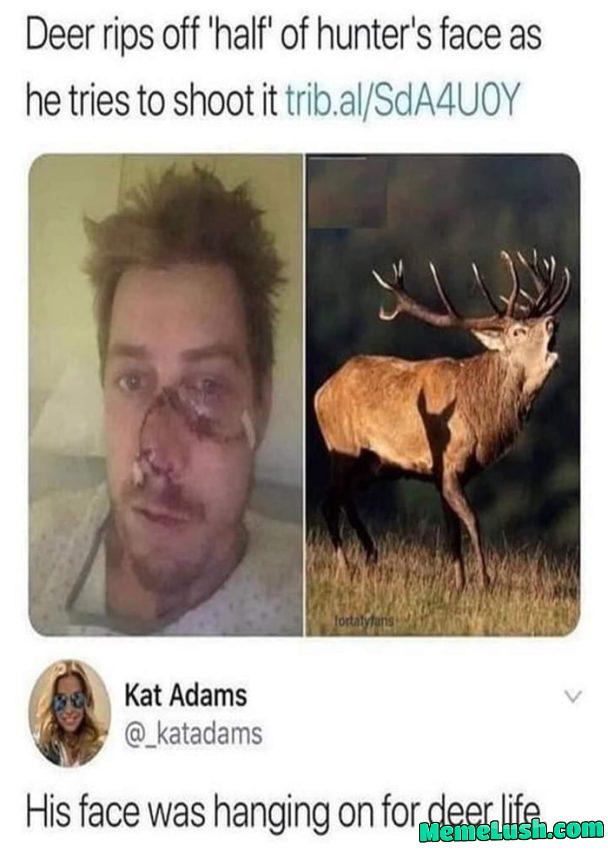 Bro got destroyed by the deer