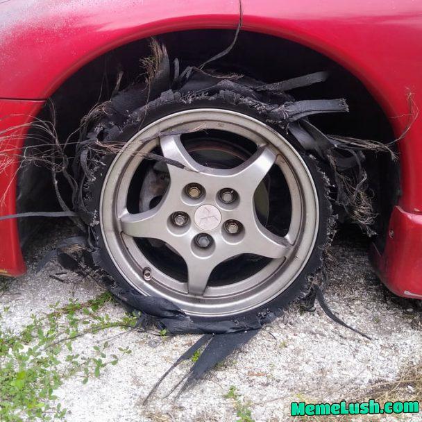 MILKED IT FOR ALL IT’S WORTH MILKED IT FOR ALL IT’S WORTH