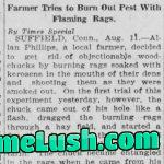Woodchuck fire 100 years ago today
