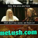 My fellowship of elves…