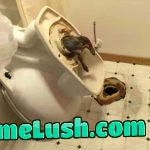 Need to watch what I’m eating