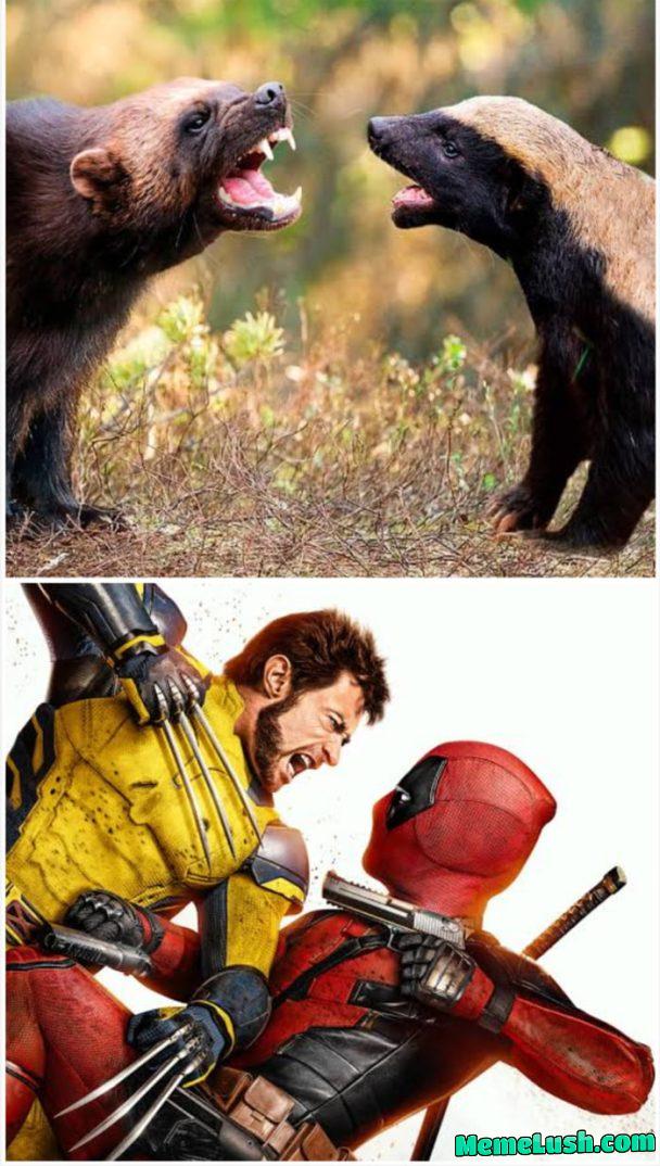 Sequel… I guess