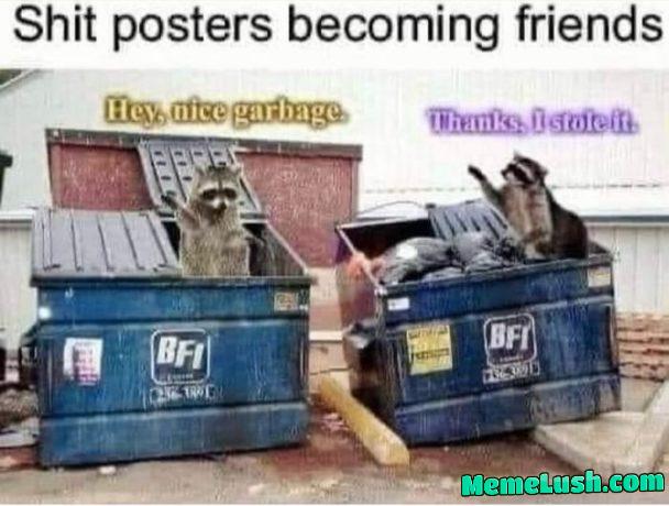 My fellow trash pandas