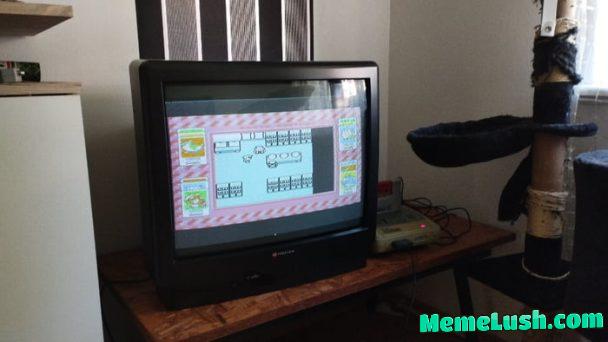 Nostalgia is hitting hard today. Just changed the internal battery and Pokémon red is working fine again.