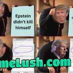 Release the epstein files