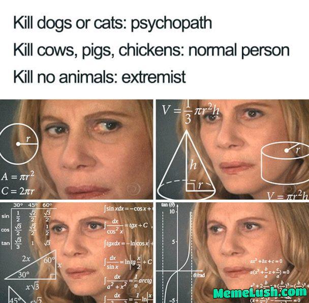 Kills no animals… Do you know what farmers do to cultivate your soya and tofu and beans and shit? Xdd Kills no animals… Do you know what farmers do to cultivate your soya and tofu and beans and shit? Xdd