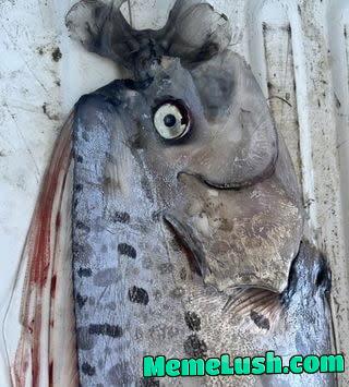 What Monday’s feel like