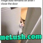 We all tried it right?
