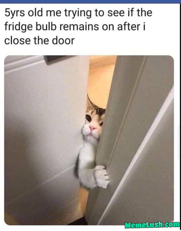 We all tried it right?