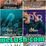 Deadliest Creatures from Austria