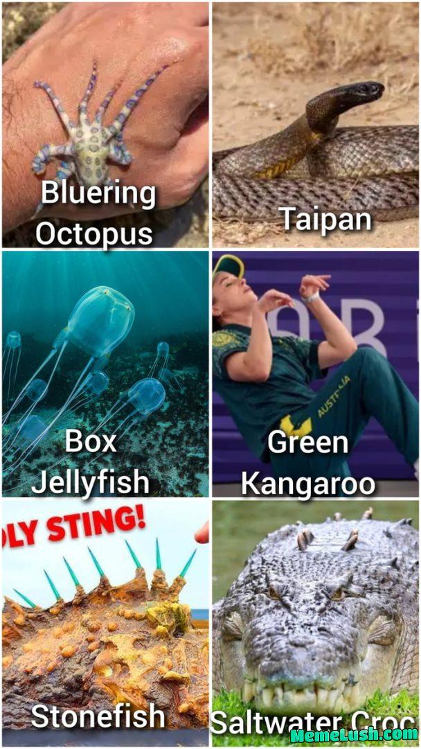 Deadliest Creatures from Austria