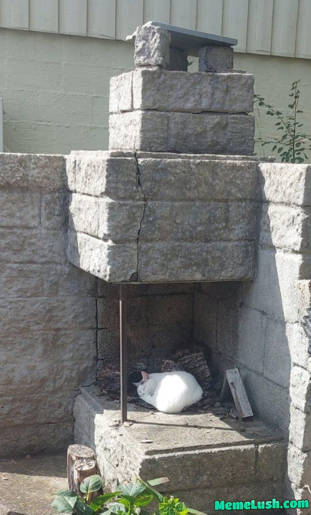 It can’t be that comfortable. Anyone got a better title for this? It can’t be that comfortable. Anyone got a better title for this?