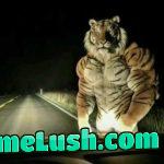 What u doin in this situation?