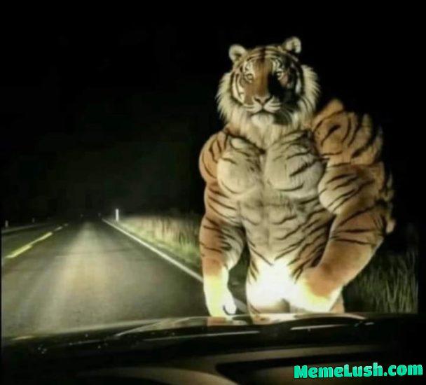 What u doin in this situation? What u doin in this situation?
