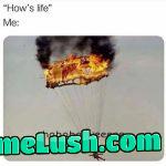 The world these days