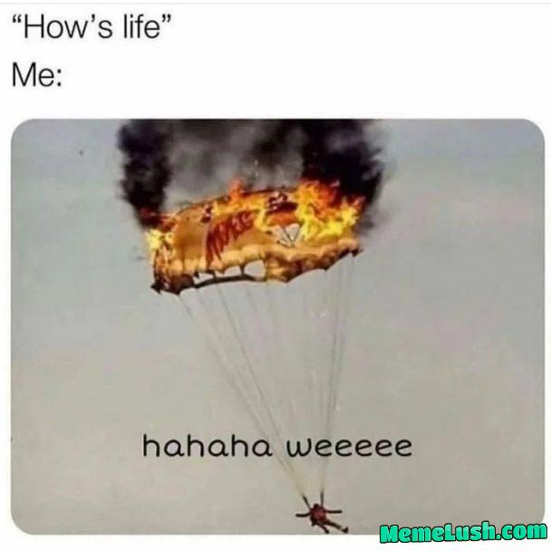 The world these days