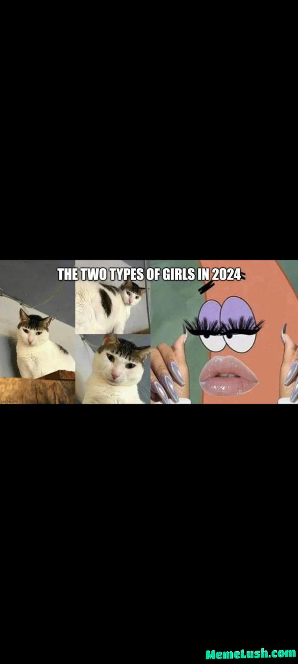 Choose wisely my dudes Choose wisely my dudes