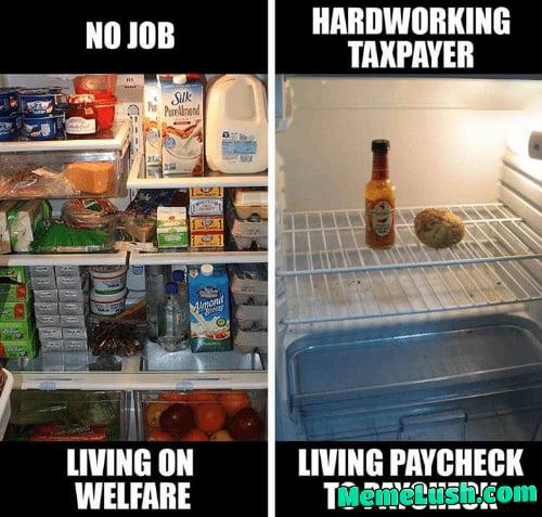 My fellow illegal immigrant