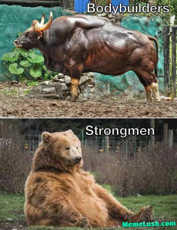 True AF