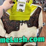 Shrek is love