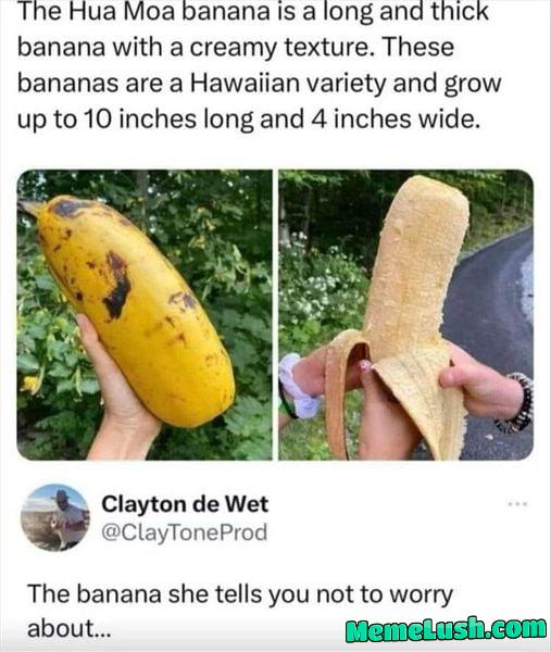 Helooo !!!! (some eco come back)