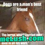 The best friend of man