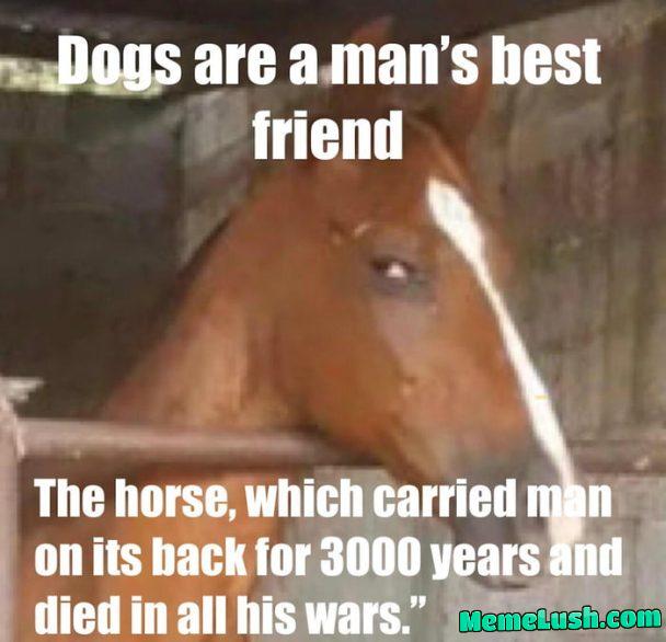 The best friend of man The best friend of man