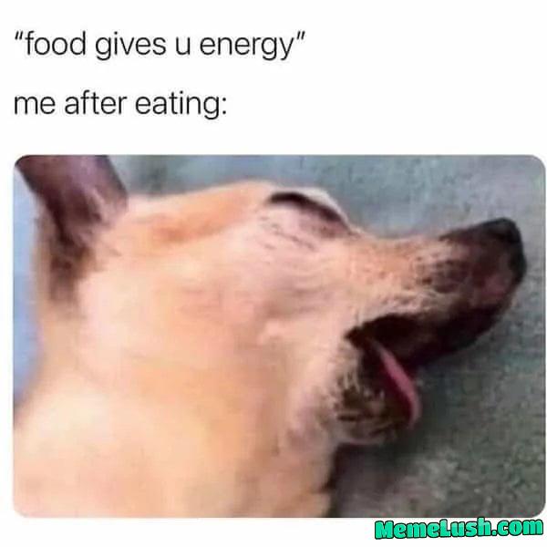Food