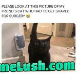 He doesn’t look happy about it 😅