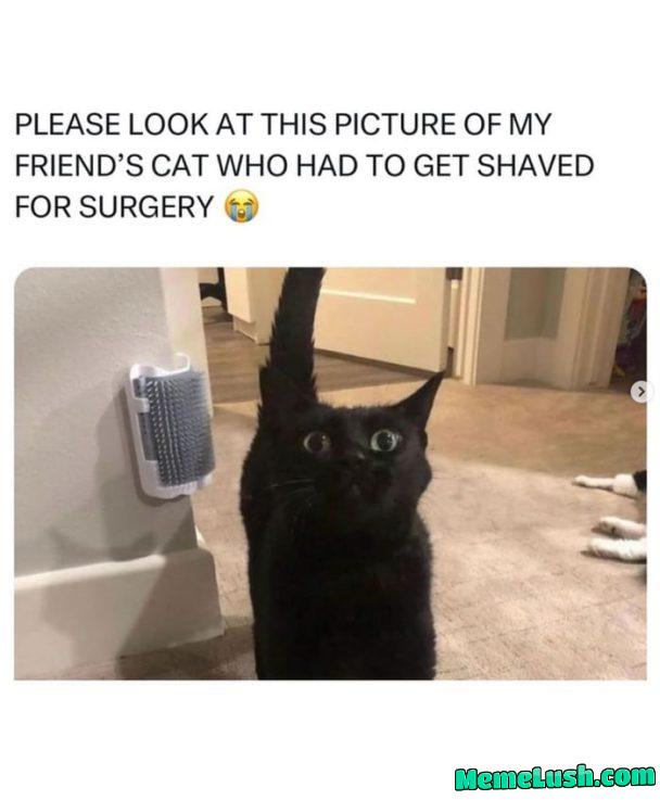 He doesn’t look happy about it 😅 He doesn’t look happy about it 😅