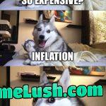 Pls dis a nice meme i keep making memes you cant tell me its not worthy, the fresh section is full of trash… And the posts are bad too.