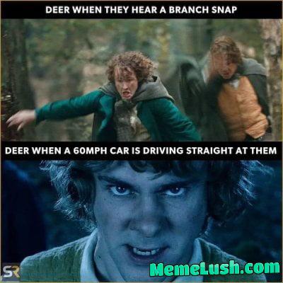 Fool of a took! Fool of a took!