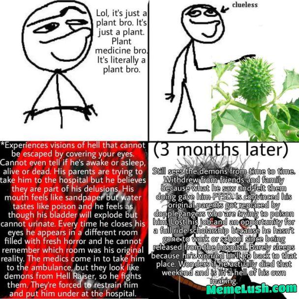 This flower can’t be worse than LSD… Also this flower: This flower can’t be worse than LSD… Also this flower: