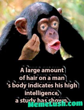 “Finally, a reason to skip shaving and call it ‘intellectual grooming’!” “Finally, a reason to skip shaving and call it ‘intellectual grooming’!”
