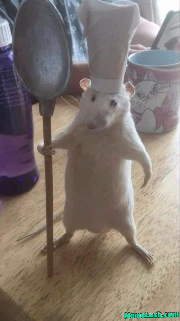 Ready foraking lunch