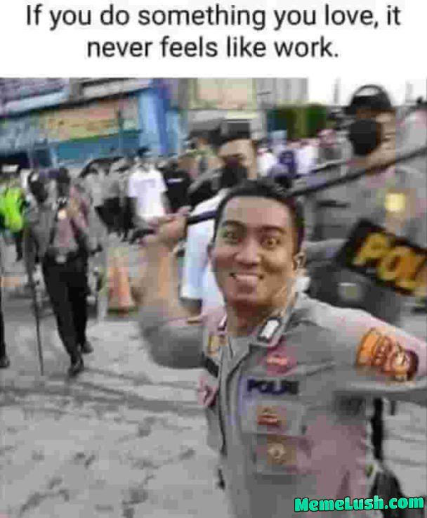 Get a job you’ll love.