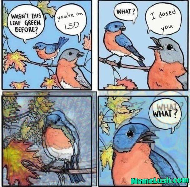 Another variation of this good meme. Another variation of this good meme.