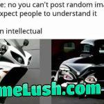 Me, an intellectual…