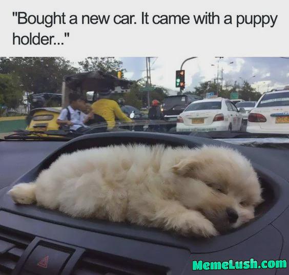 Cutieee car Cutieee car